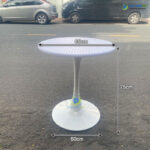 ban cafe tron chan sat tulip mat nhua dep LAB12 8